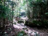  Wanderroute zum "Hohlen Stein" 